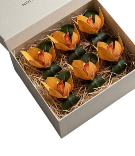 Porta Guardanapo Orquidea Cymbidus Laranja