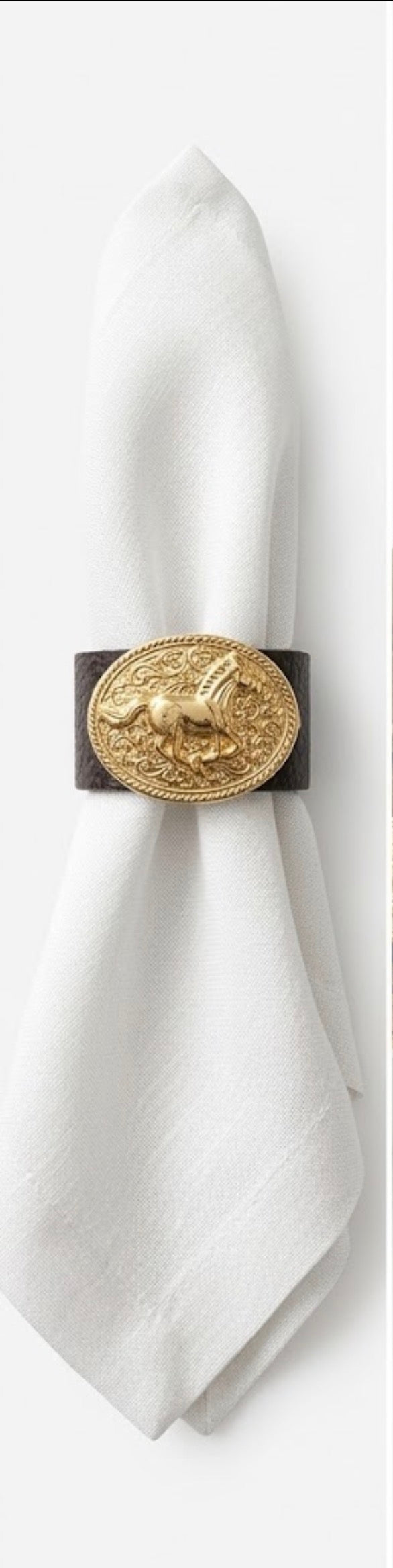 Edição especial - The GOLD Buckle